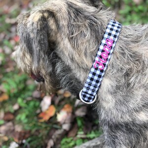 May include: A dog collar with a black and white gingham pattern. The collar has the name "Siena" embroidered in pink. The dog has gray and brown fur. A silver metal D-ring is attached to the collar.