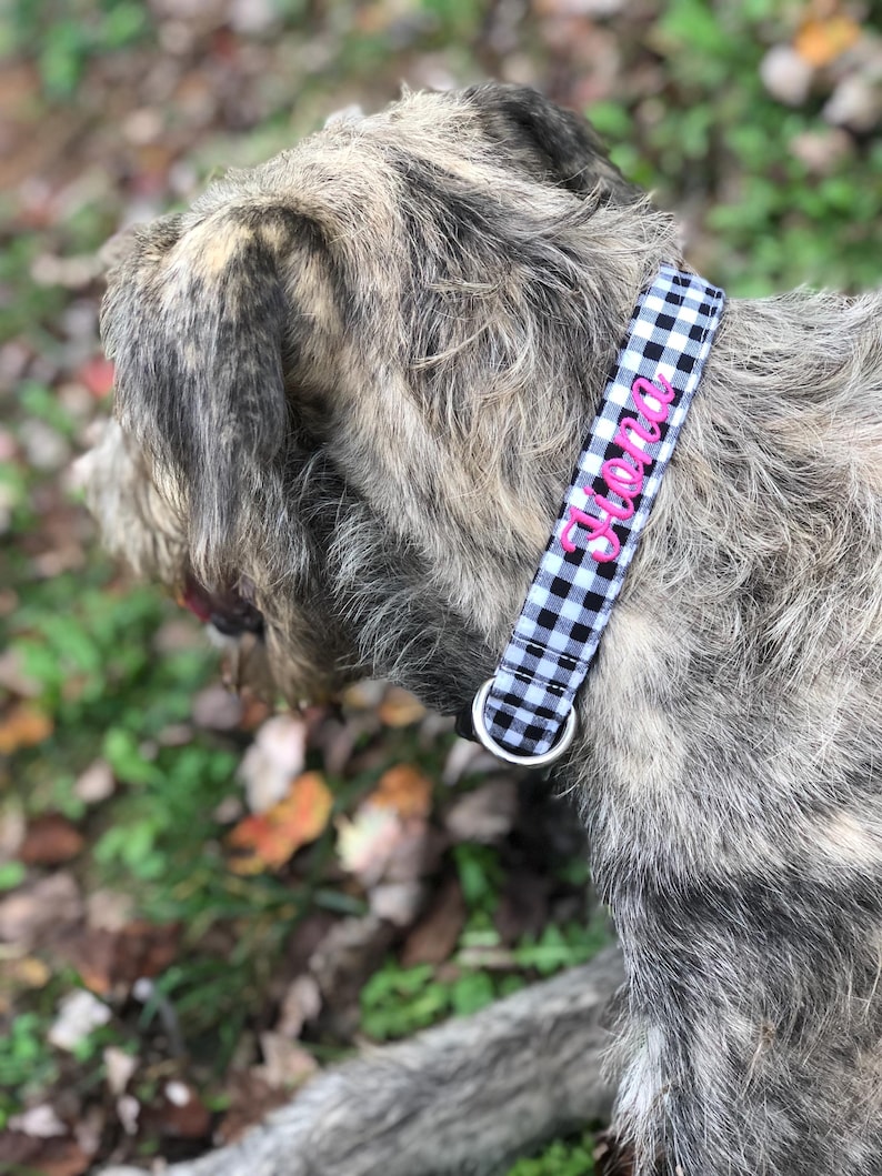 May include: A dog collar with a black and white gingham pattern. The collar has the name "Siena" embroidered in pink. The dog has gray and brown fur. A silver metal D-ring is attached to the collar.