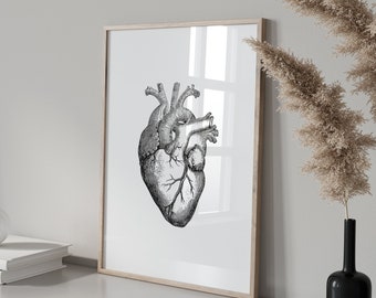 Anatomical Heart Print, Vintage Medical Art, Heart Wall Art, Anatomy Poster, Anatomical Heart Art, Vintage Heart, Medical Wall Art