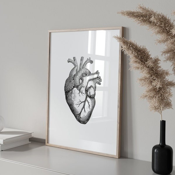 Anatomical Heart Print, Vintage Medical Art, Heart Wall Art, Anatomy Poster, Anatomical Heart Art, Vintage Heart, Medical Wall Art