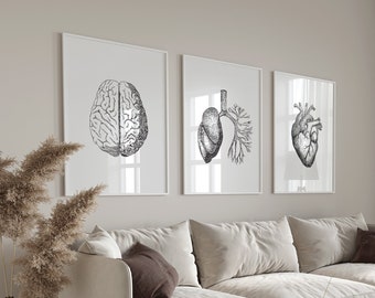 Set of 3 Prints, Brain, Lungs, Heart, Anatomical Wall Art, Human Anatomy Set, Med Student Gift, Anatomy Posters