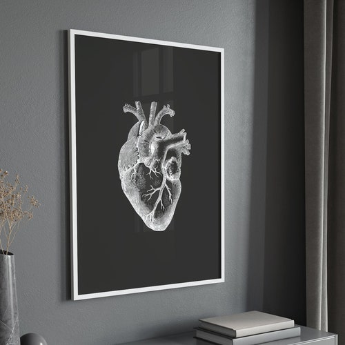 Heart Anatomy Print Black and White Medical Wall Art - Etsy