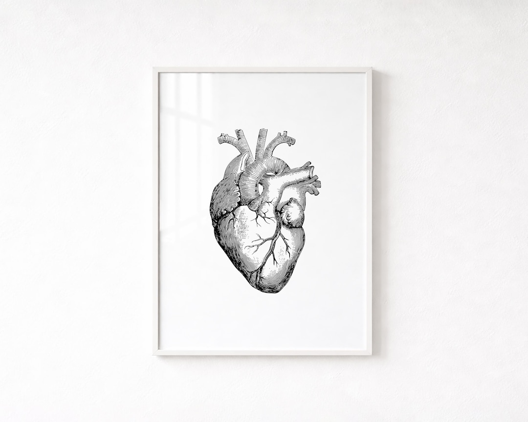 Anatomical Heart Wall Art, Medical Art Print, Vintage Illustration ...