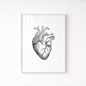 Anatomical Heart Wall Art, Medical Art Print, Vintage Illustration Poster (Digital Download)