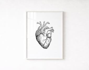 Anatomical Heart Wall Art, Medical Art Print, Vintage Illustration Poster (Digital Download)