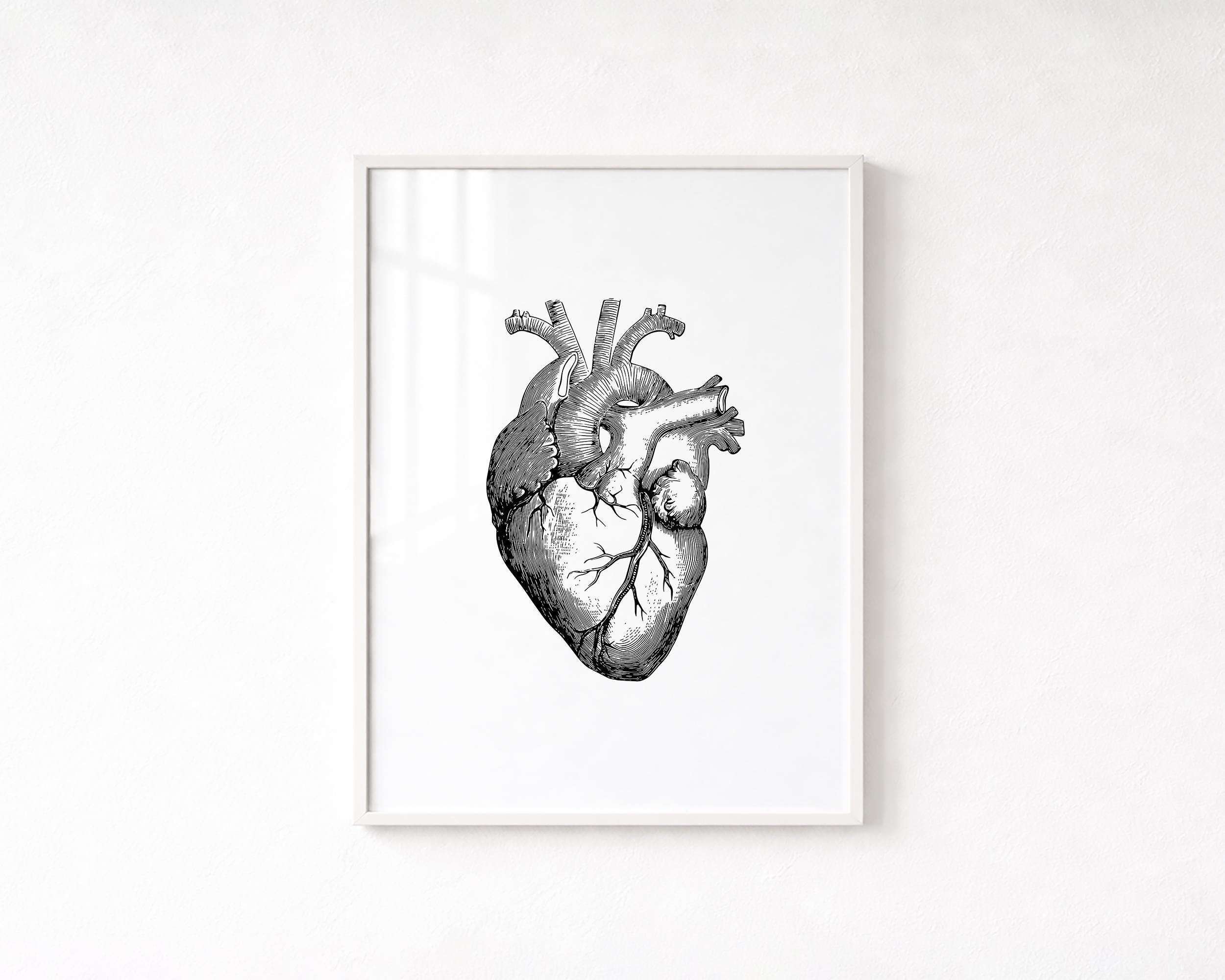 Anatomical Heart Wall Art, Medical Art Print, Vintage Illustration ...