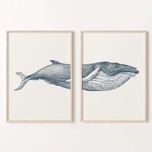 Wal Kunst, 2er-Set Drucke, Ozean Wand Kunst, Digital Download, Nautik Wand Dekor, Küsten Drucke