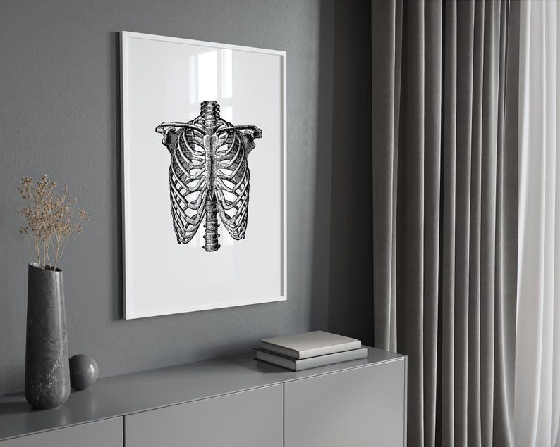 Vintage Rib Cage Anatomy Print, Skeleton Bones Medical Wall Art ...