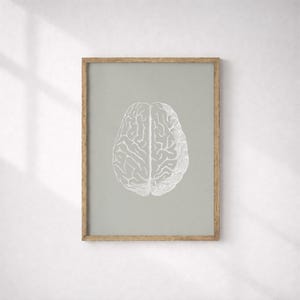 Brain Anatomy Print, Sage Green Medical Art, Human Anatomy Poster (Digital Download)