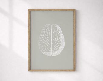 Brain Anatomy Print, Sage Green Medical Art, Human Anatomy Poster (Digital Download)