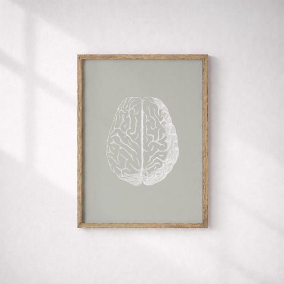 Brain Anatomy Print, Sage Green Medical Art, Human Anatomy Poster (Digital Download)