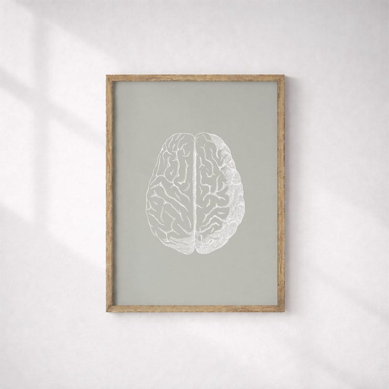 Brain Anatomy Print, Sage Green Medical Art, Human Anatomy Poster (Digital Download) image 1
