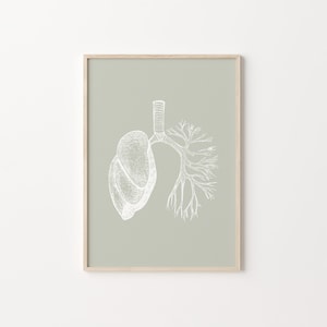 Lunge Wandkunst, Anatomie Druck, Lunge Anatomische Kunst, medizinisches Poster, Sofort Download