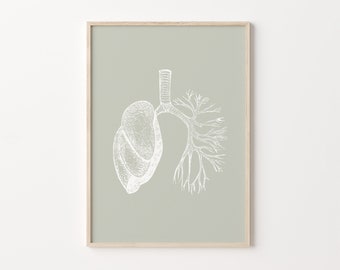 Lungs Wall Art, Human Anatomy Print, Lungs Anatomical Art, Medical Poster, Instant Download