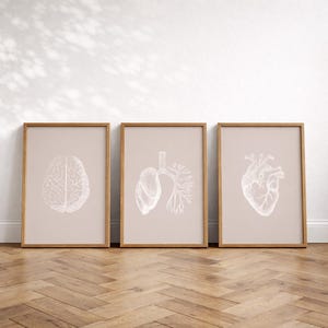 May include: Three framed anatomical art prints. Each print features a detailed white illustration of human organs: a brain, lungs, and a heart, set against a neutral background. The frames are made of wood, adding a natural touch to the medical theme.