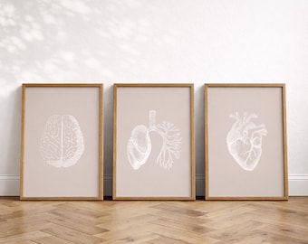 Anatomical Set of 3 Prints, Brain Lungs Heart, Medical Wall Art, (Digital Download)