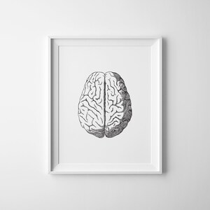 May include: A black and white illustration of the human brain, framed in a white frame.