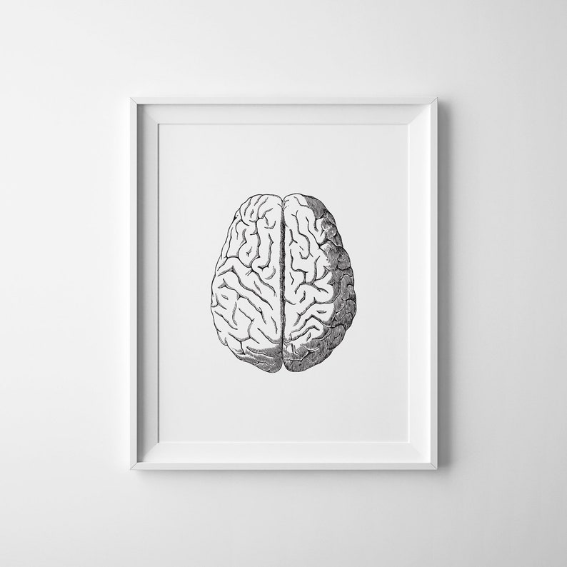 May include: A black and white illustration of the human brain, framed in a white frame.