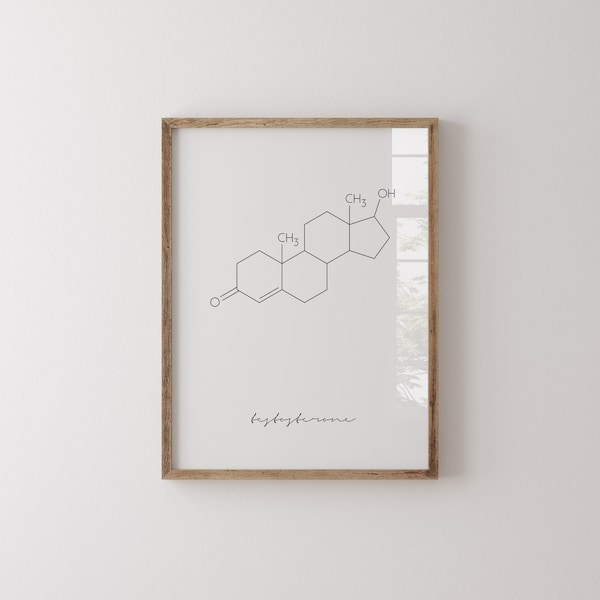 Testosterone Molecule, Printable Wall Art, Chemical Structure Art, Science Poster, Molecular Print, Geek Gift