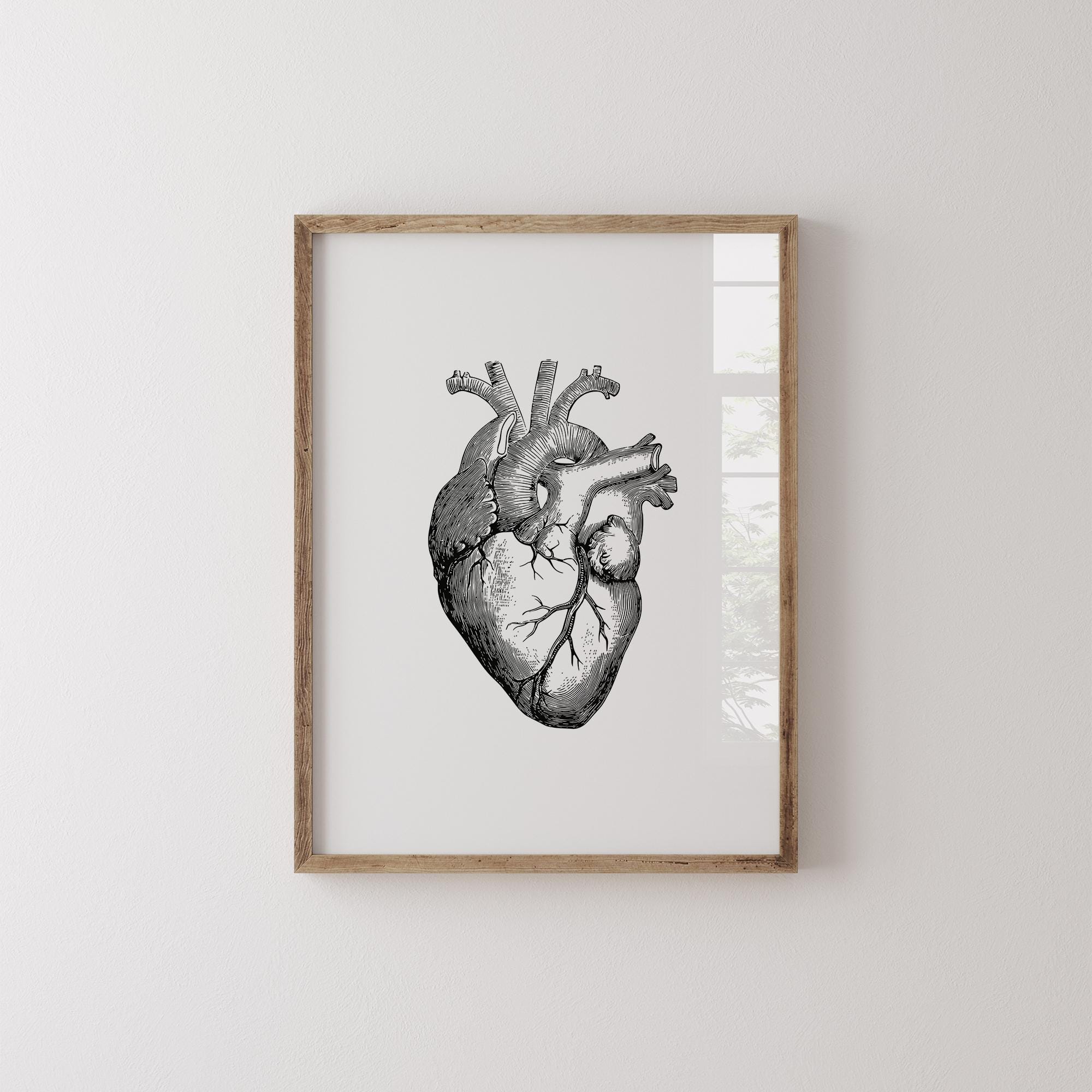 Anatomical Heart Wall Art, Medical Art Print, Vintage Illustration ...