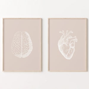 Set of 2 Printable, Anatomy Wall Art, Brain and Heart, Neutral Gallery Wall, Anatomical Brain, Anatomical Heart