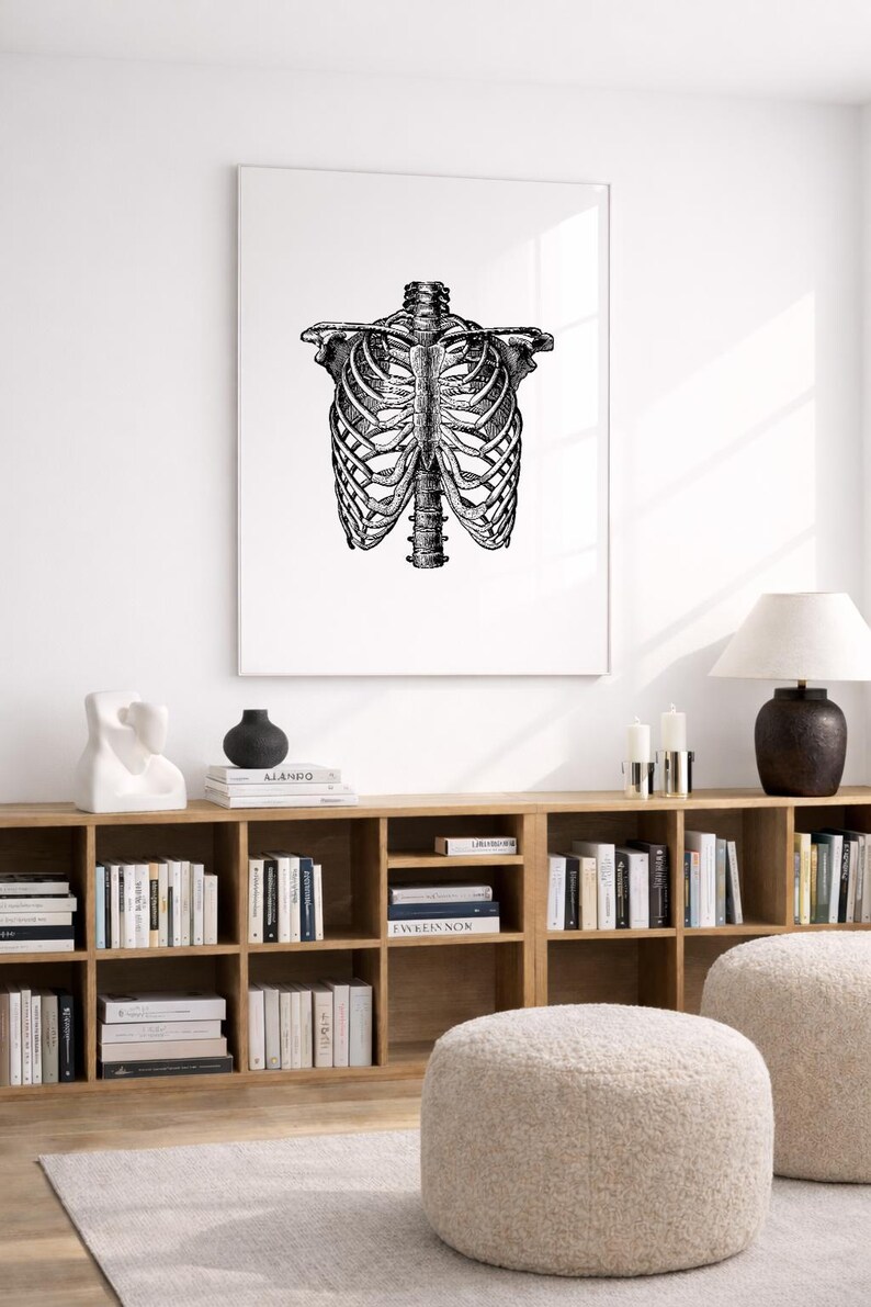 Vintage Rib Cage Anatomy Print, Skeleton Bones Medical Wall Art ...