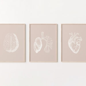 Anatomy Art, Set of 3 Digital Prints, Anatomical Brain, Anatomical Lungs, Anatomical Heart, Medical Office Art, Cardiology Gifts