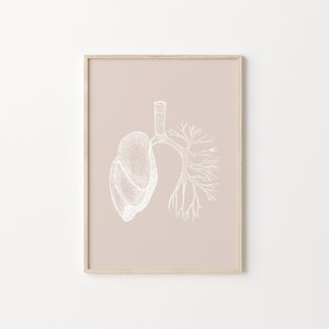 Lungs Anatomy, Digital Print, Vintage Anatomical Art, Human Anatomy Poster, Med Student Gift, Dorm Wall Art