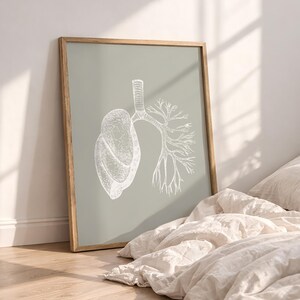 Lungs Anatomy Print, Sage Green Medical Art, Human Anatomy Poster (Digital Download)
