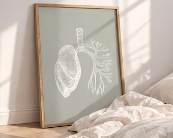 Lungs Anatomy Print, Sage Green Medical Art, Human Anatomy Poster (Digital Download)