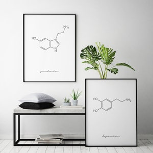 Pu&ograve; includere: Due stampe incorniciate nere con sfondi bianchi e disegni a linea nera delle strutture chimiche di serotonina e dopamina. Le stampe sono appese a una parete bianca sopra un tavolo in cemento con gambe in metallo nero. Ci sono due piccole piante in vaso sul tavolo.