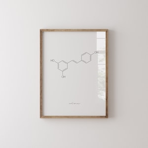 Molecular Art, Wine Print, Resveratrol Molecule, Science Poster, Digital Download, Wine Lover Gift, Wine Molecule Print