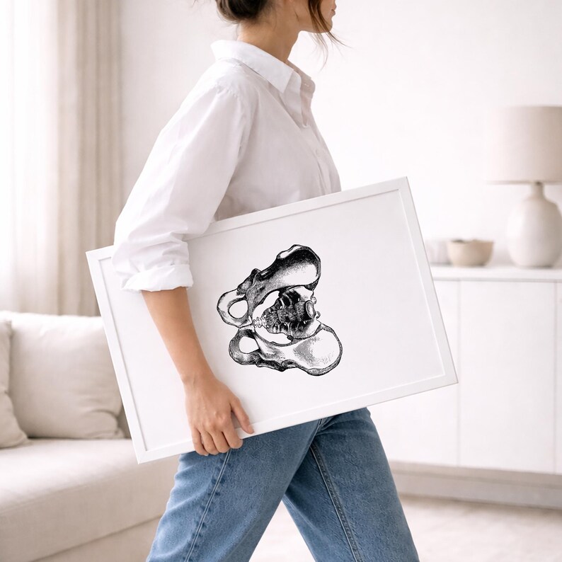Hips Anatomy Print, Vintage Medical Wall Art (Digital Download) image 2