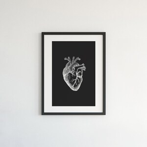 Anatomy Wall Art, Set of 3 Prints, Brain, Lungs, Heart, Human Anatomy ...