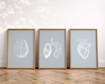 Human Anatomy Set of 3 Prints, Medical Wall Art, Brain Lungs Heart Posters, Instant Download