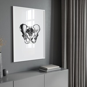 Hips Anatomy Print, Vintage Medical Wall Art (Digital Download) image 3