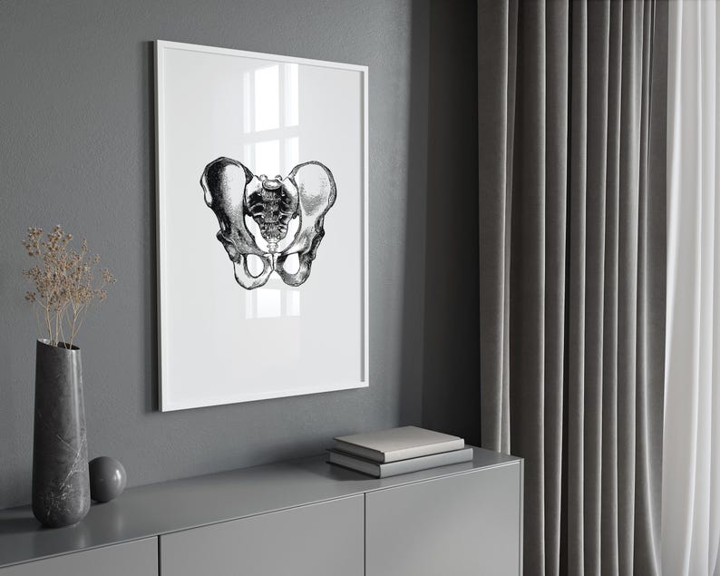 Hips Anatomy Print, Vintage Medical Wall Art (Digital Download) image 3