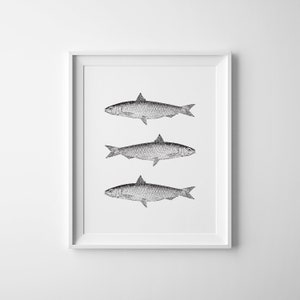 Vintage Fisch Print, druckbare Fisch Kunst, Fisch Wandkunst, Angeln Schild, Fisch Druck, Fische Poster, Nautik Wanddekor