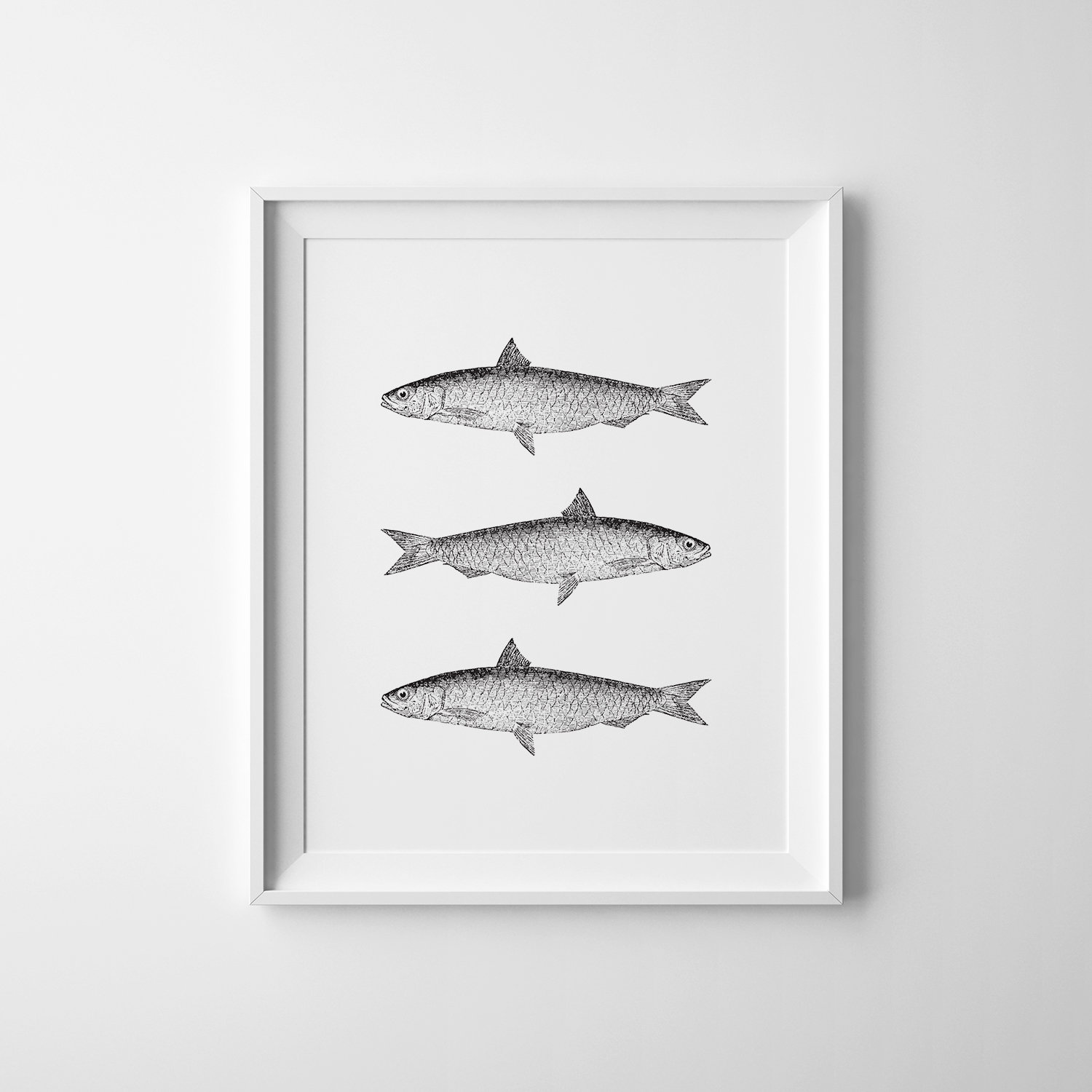 Vintage Fish Print Printable Fish Art Fish Wall Art Fishing Etsy