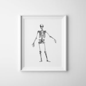 Skeleton Print, Vintage Illustration, Human Anatomy, Medical Printable, Halloween Wall Art, Vintage Anatomy Art