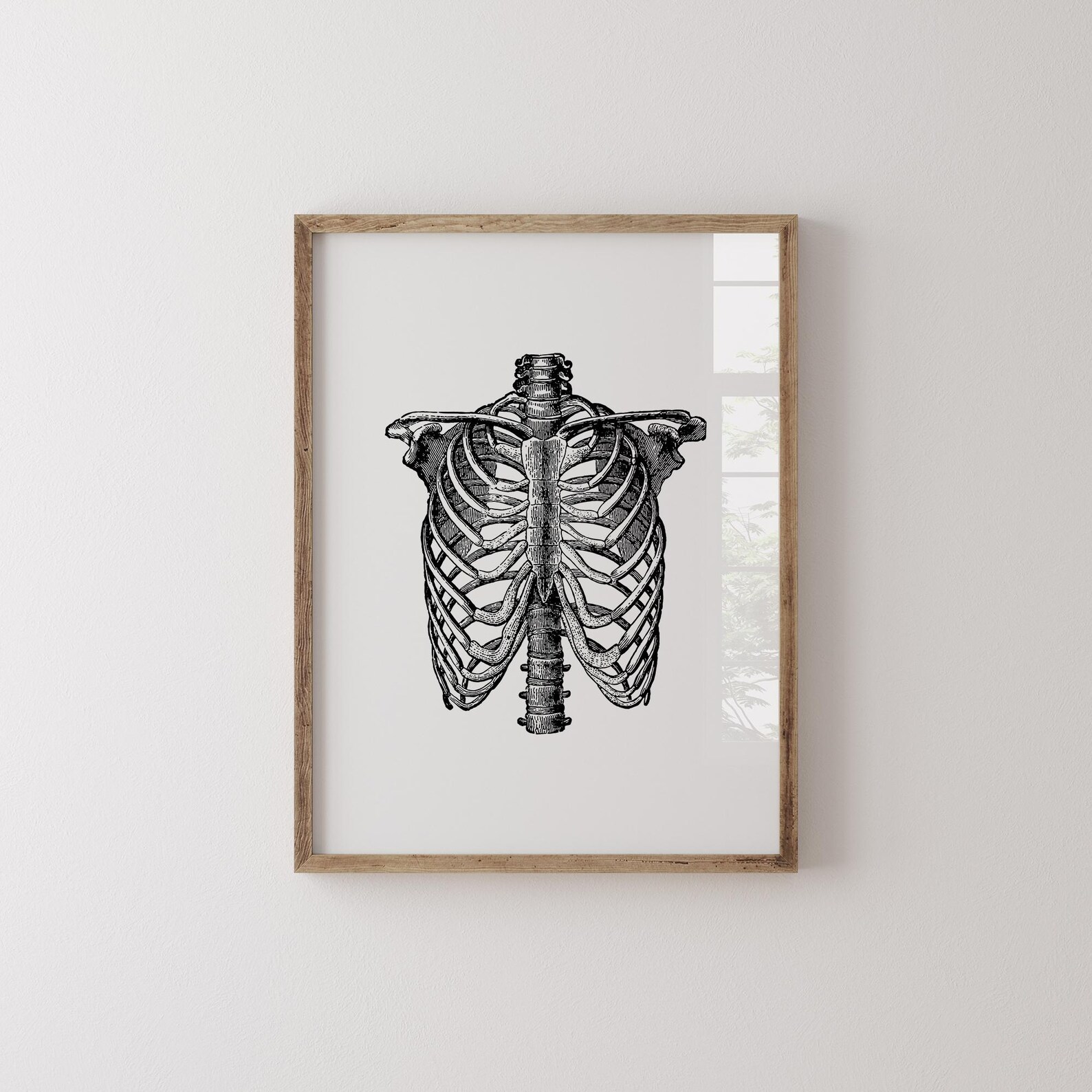 Vintage Rib Cage Anatomy Print, Skeleton Bones Medical Wall Art ...