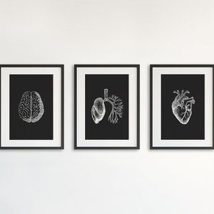 Anatomy Wall Art, Set of 3 Prints, Brain, Lungs, Heart, Human Anatomy Set, Medical Decor, Vintage Illustrations