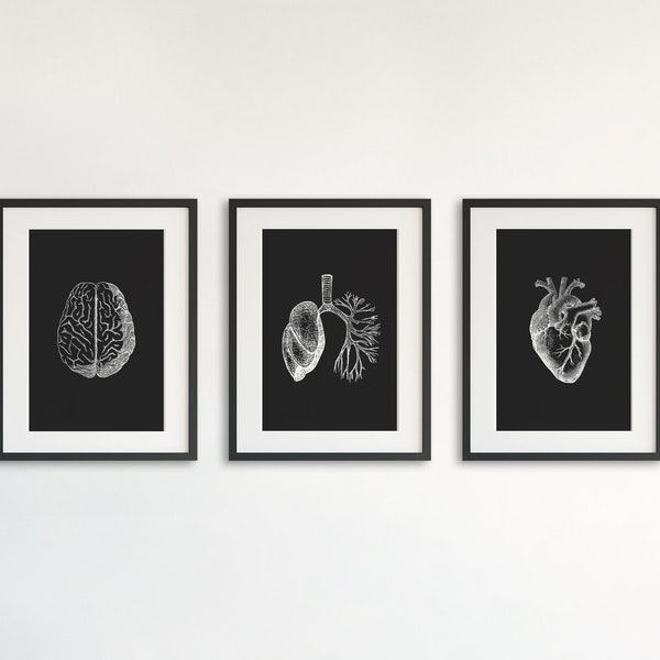 Anatomy Wall Art, Set of 3 Prints, Brain, Lungs, Heart, Human Anatomy Set, Medical Decor, Vintage Illustrations