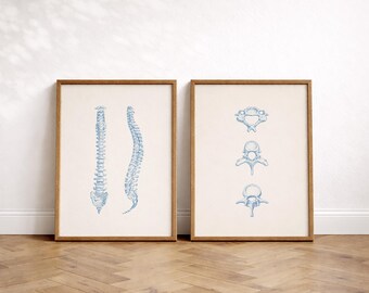Spine Anatomy Wall Art Set of 2, Vintage Medical Illustration, Digital Prints
