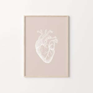 Heart Anatomy Art, Digital Download, Anatomy Poster, Neutral Wall Art, Anatomical Heart, Vintage Medical Print