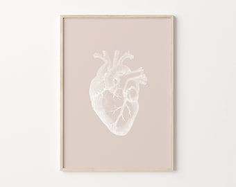 Heart Anatomy Art, Digital Download, Anatomy Poster, Neutral Wall Art, Anatomical Heart, Vintage Medical Print