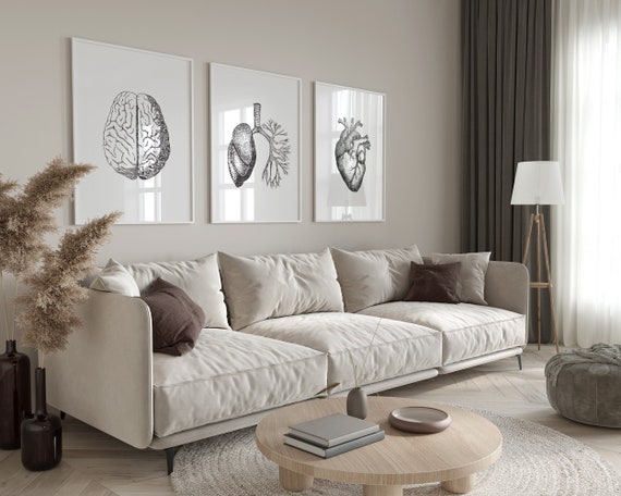 Set of 3 Prints, Brain, Lungs, Heart, Anatomical Wall Art, Human Anatomy Set, Med Student Gift, Anatomy Posters
