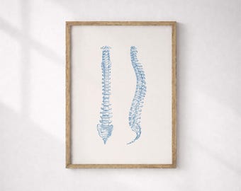 Spine Anatomy Print, Vertebral Column Medical Art (Digital Download)