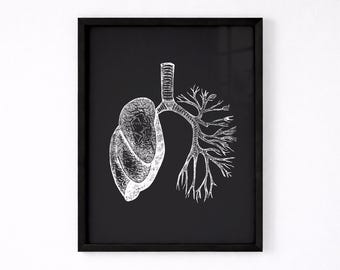 Lungs Print, Anatomy Poster, Vintage Human Anatomy Art, Respiratory System Print (Digital Download)