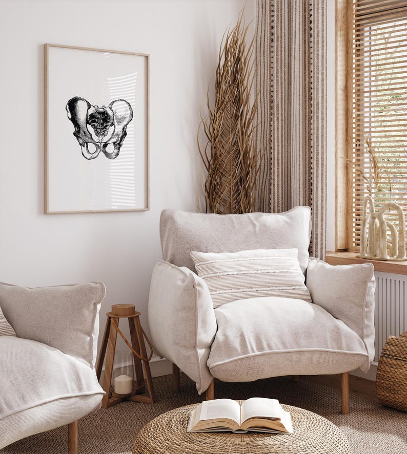Hips Anatomy Print, Vintage Medical Wall Art (Digital Download) image 5